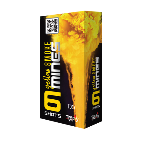 Batteries TD6Y