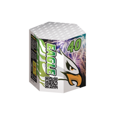 Batteries TW40