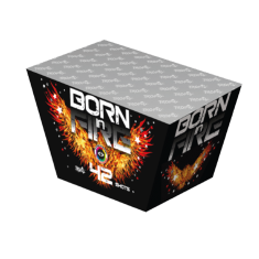 Batteries TW14